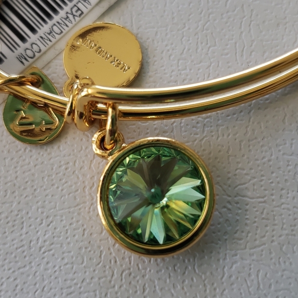 ALEX AND ANI bangle - Picture 3 of 6